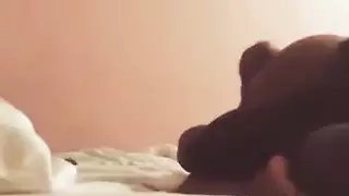سكس مع الخيل سكس مع الخيل