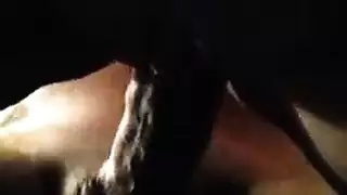 مفيش حد موجود في البيت