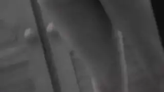 بوف اللسان بيرو الزوج
