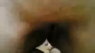 فحل عربي يضرب ثديي الشقراء الورديين وفرجها الضيق