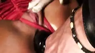 ضخ مترجم