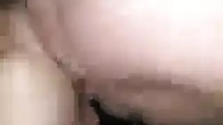 الشيخ عبد الباسط عبد المض