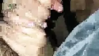 فم العاهرة الموهوب يعمل على القضيب قبل اختراق شديد