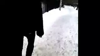 اللذيذة سمراء الحمار غازل قبل عاطفي أسلوب هزلي الحفر