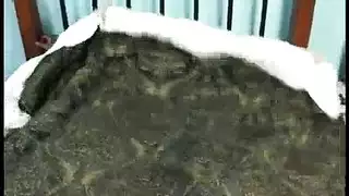 عجوز تتحرش على صديق ابنها في المطبخ س طزيها