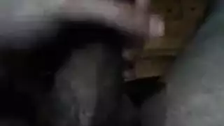 عبدة القضيب اللاتينية تمص وتداعب انتصاباً ضخماً