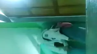 الشاب الوسيم يدفع كس زميلته بقوة خلف المدرسة