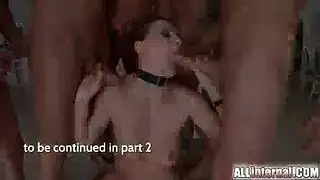 كلاب ينيك نسا