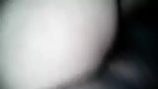 يكس مع خنازير