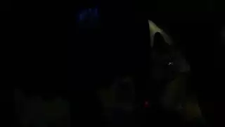 أوضاع جنسية أجنبية جامحة: فيديو جنس جماعي