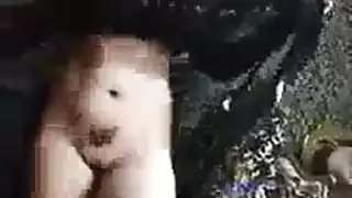 مؤخرة الراقصة المصرية تهتز قبل مشهد شرجي