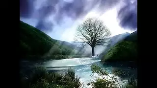 كس ناشا المبلل وجنسها البهلواني يجعلان نائب الرئيس ينفجر بسرعة