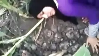 نيك محجبة مصرية في الخلاء و هي قحبة جميلة و سكسية