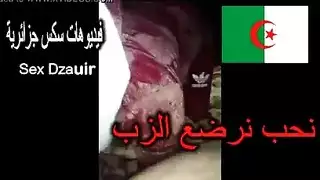 ايكس بجاية بار