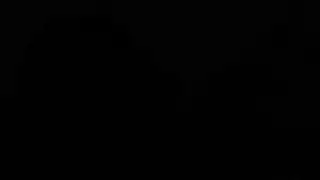 افلام كالي كارتن