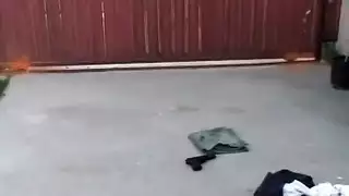 زب كبير مثل زب حمار