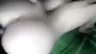 الإباحية المثلية الخشنة مع مشاهد مكثفة