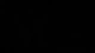 انحراف لعب المهر: تمثيل أدوار حيوانية إباحية صريحة