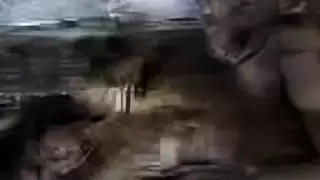 مراهقات أجنبيات مثيرات في حركة ثنائية صريحة
