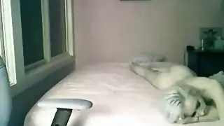 شكس،شقاء