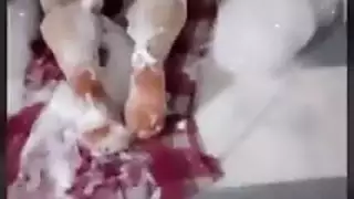 تقوله زيك بيوجع