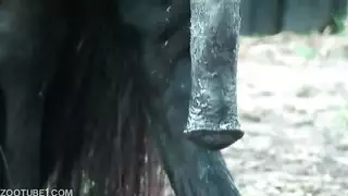 فتى المزرعة المثلي وفحله وضع الوحش البري الإباحي