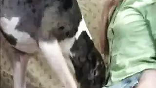 كلب جامح يركب فتاة في بورن bestiality صريح