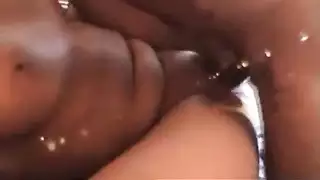 شرج بولندي مع فحول عرب