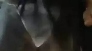 مغوية مراهقة في شورت أزرق تمص وتمارس الجنس