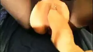 سكس مدا مع حصان
