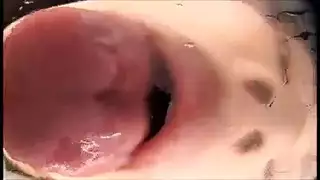 منت تا صيح با قوه