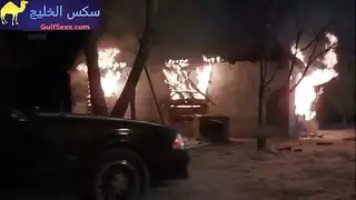سكسى الولايات المتحدة