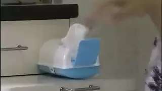 نيج لولد واحد في والد