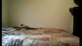 تركبه بعد أن جعلت زبه صلبًا بمشاهد صريحة