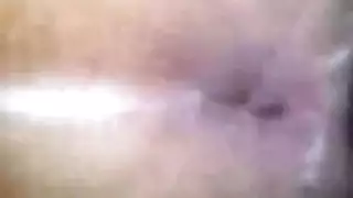 متحول جنسي الهرة مزدوجة الديك الأسود