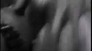 أرز أنابيل وأصدقائها يلهون في حفلة