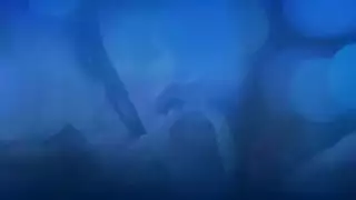 شباب مثلية علاقتهم من الايد