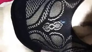 أثداء أنيلا الكبيرة و وضعية الكلب الخشنة
