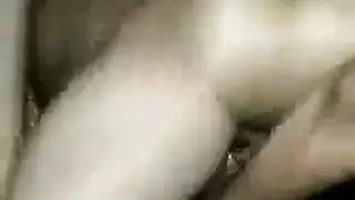الصديق المفصل