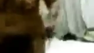 ابن ينيك امه الممحونة في اسخن فيديو سكس مهيج فيديو إباحي مجاني مترجمة هاني
