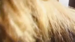 سكس بنا سوده بزب كبير