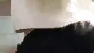 أناستازيا الشقراء ذات الشعر الأحمر تركع لقضيب أسود في جبة خيانة صعبة