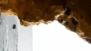 جنس كهف جامح: فتاة تونسية ساخنة تمص بشدة حتى المني