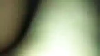 التنوب الآسيوي