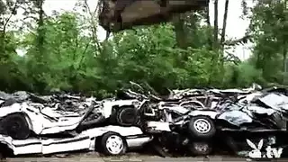 نيك اجمل وأكبر موخرات بيض