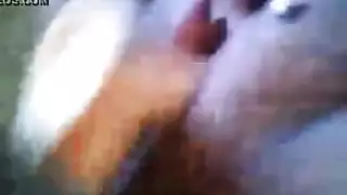 هولندي الجنس العامة فتاة سوداء