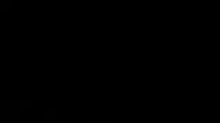 أرنب المسكن سكران في