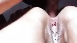نائب الرئيس غارق الحمار الى الفم