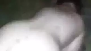 النشا