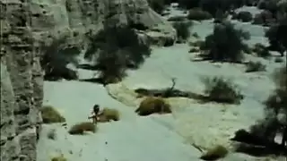 عنتيل البحيرة أسامة